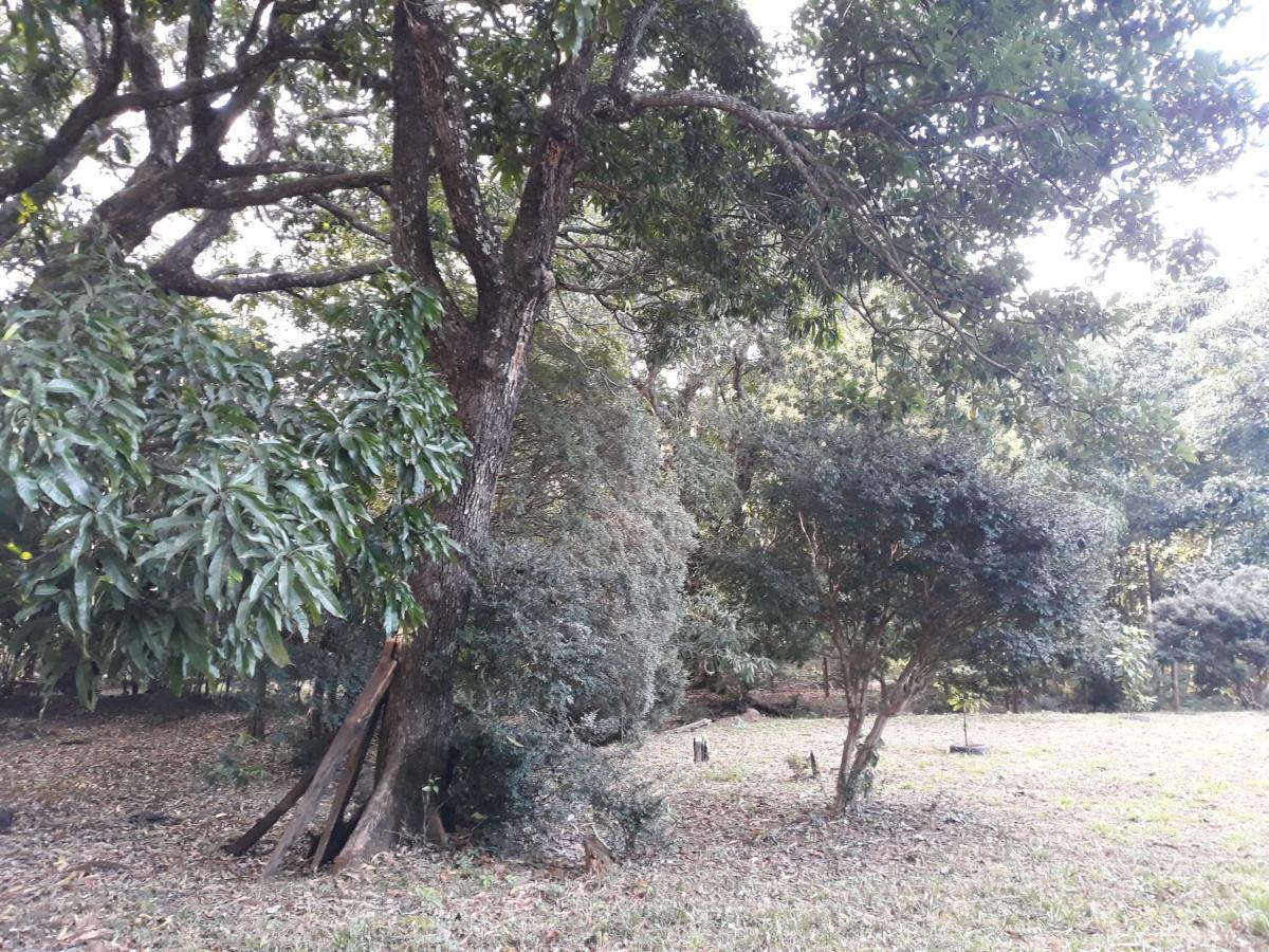 Chale Veredas E Buritis Holiday home Pirenopolis