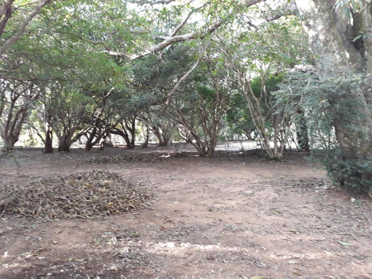 Chale Veredas E Buritis Holiday home